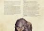 homebrew your dnd adventures